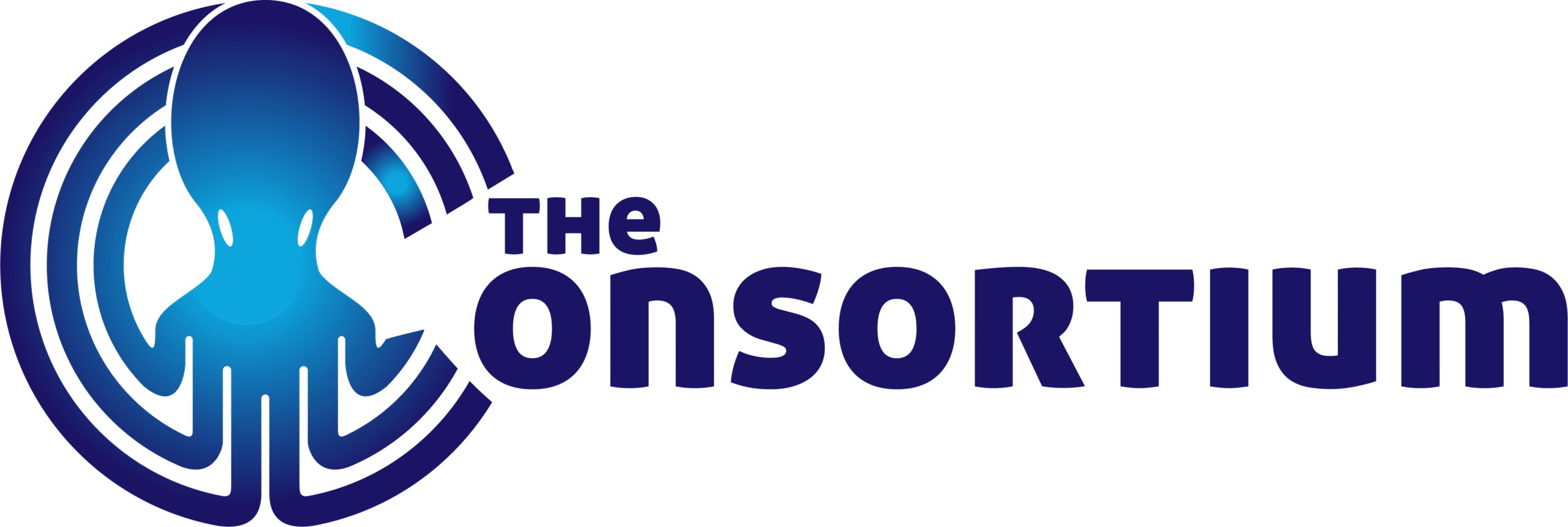 The Consortium Group LLC